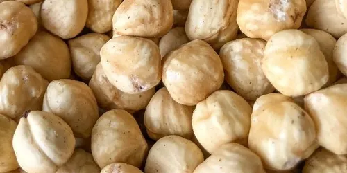 Bulk packed blanched hazelnut kernels